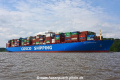 Cosco Shipping Azalea 030619-22.jpg