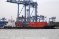 Danum 115 OS-081111-02.jpg
