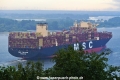 MSC Calypso 290723-3.jpg