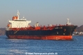 Elandra Star TL-310321-3.jpg