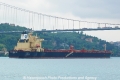 Megacore Panthea (OK-190512-4).jpg