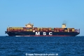 MSC Adya OS-200724-07.jpg