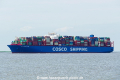 Cosco Shipping Azalea (KK-030619-1).jpg