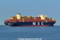 MSC Aaya (KK-060824-2).jpg