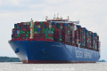 Cosco Shipping Azalea 030619-04.jpg