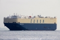 Morning Caroline (MS-211014-04).jpg