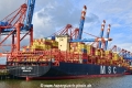 MSC Aaya (KB-D040824-02).jpg