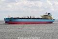 Marlin Loreto JG-130423-2.jpg
