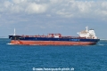 Minerva Elpida (MB-010719-4).jpg