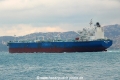 Minerva Vera (OK-290114-0).jpg