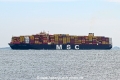 MSC Daria OS-261024-1.jpg
