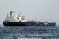 Minerva Clara (220706-7-MS).jpg