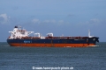 Minerva Georgia (JS-290814-07).jpg