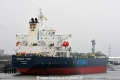 Minerva Emily (KB-D200116-02).jpg
