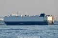 Morning Midas OS-301023-10.jpg