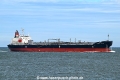Chemroad Orchid OS-300624-01.jpg