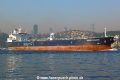 Minerva Roxanne (OK-221013-0).jpg