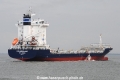 E.R. Auckland JG-080515-03.jpg
