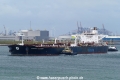 Minerva Georgia (MB-250722-1).jpg