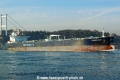 Minerva Nike (OK-050214-1).jpg