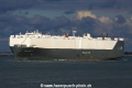 Morning Mercator (JS-310811-03).jpg