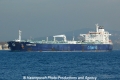 Minerva Zoe (OK-101013-2).jpg
