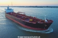 Falcon Maryam TL-060822-1.jpg