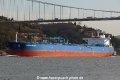 Minerva Gloria (OK-250114-1).jpg