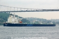 Minerva Maya (OK-110512-2).jpg