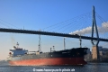 Minerva Emily (KB-D220116-02).jpg