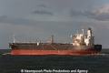 Minerva Lydia (MM-271012-3).jpg