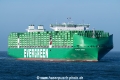 Ever Eco SH-131225-1.jpg