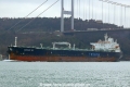 Minerva Iris (OK-280114-1).jpg