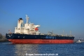 Minerva Emily (KB-D220116-03).jpg