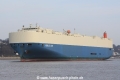 Noble Ace (JS-070314-11).jpg