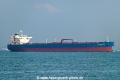 FS Diligence OS-231023-03.jpg