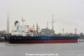 Minerva Emily (KB-D200116-01).jpg