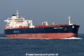 Minerva Pisces SH-041014-01.jpg
