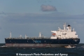 Minerva Lisa (MM-271012-2).jpg