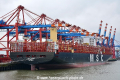 MSC Eloane (KB-D181116-02).jpg
