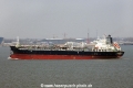 Chembulk New York OS-200213-07.jpg