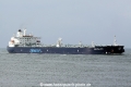 Minerva Iris (JS-020909-11).jpg