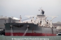 D Whale (MM-270113-1).jpg