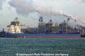 Anangel Glory (OK-211113-0).jpg