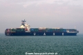Al-Mutanabbi OS-250111-09.jpg