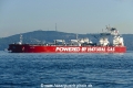 Alfred (OK-200824-1).jpg