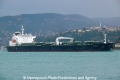 Aligote (OK-041013-1).jpg