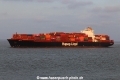 Al Safat TL-060921-6.jpg