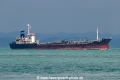 Loggerhead OS-311023-02.jpg