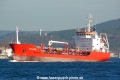 Alev Kaman (OK-100214-0).jpg
